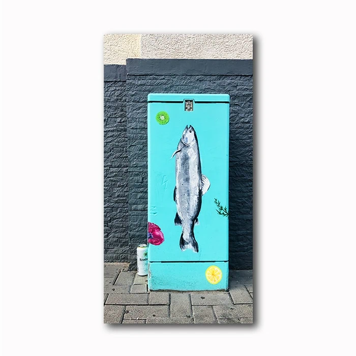 Fisch Strom Kunst- Foto auf Holz Atelier Klick Blick