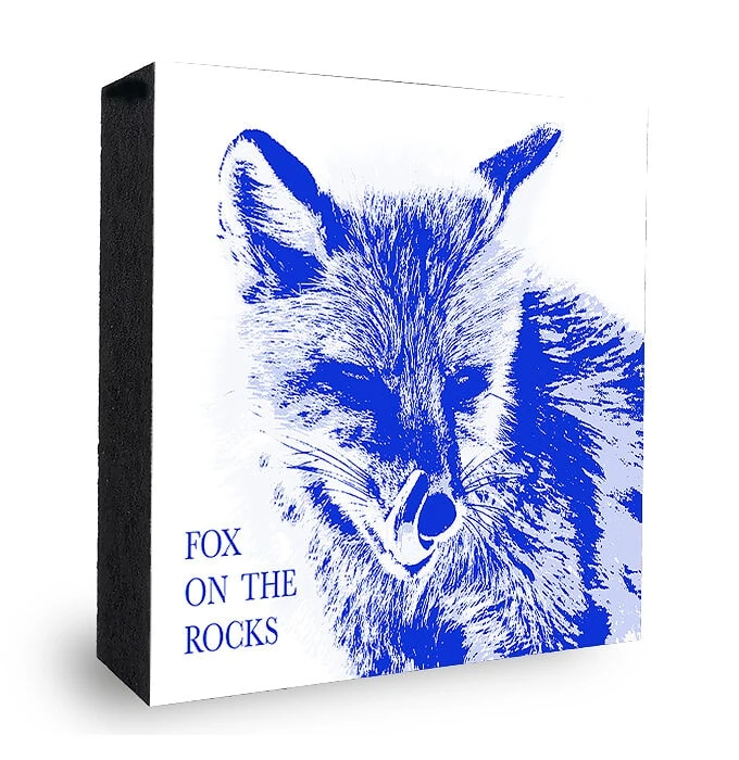 Fuchs - Fox on the Rocks