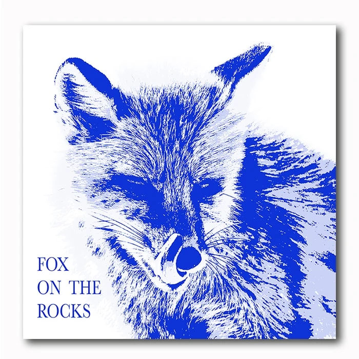 Fuchs-Fox on the rocks Bild auf Holz