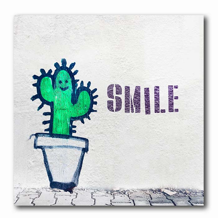 Kaktus Smile Graffiti